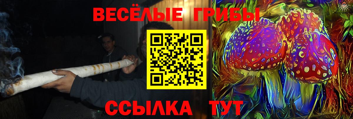Белогорск  Галлюциногенные грибы прущие грибы  Галлюциногенные грибы ЛСД  Вход с VPN 